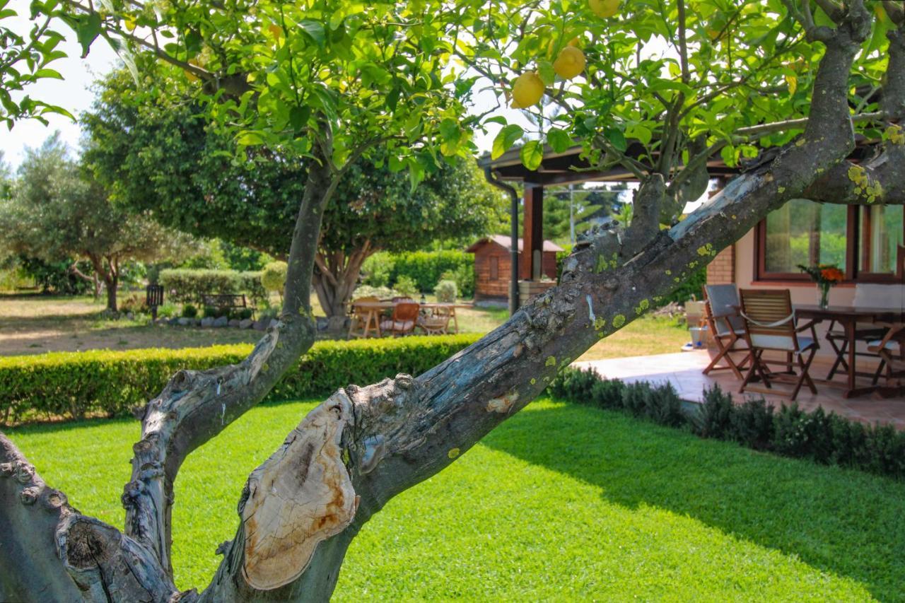 La Casa Di Lina - Capo D'Orlando, Casa Con Ampio Giardino Villa Exterior photo